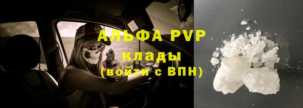 ГАЛЛЮЦИНОГЕННЫЕ ГРИБЫ Беломорск