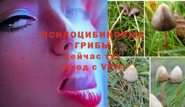МДМА Белокуриха