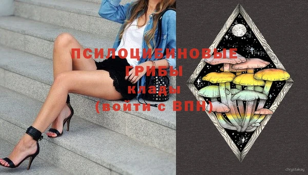 ГАЛЛЮЦИНОГЕННЫЕ ГРИБЫ Беломорск